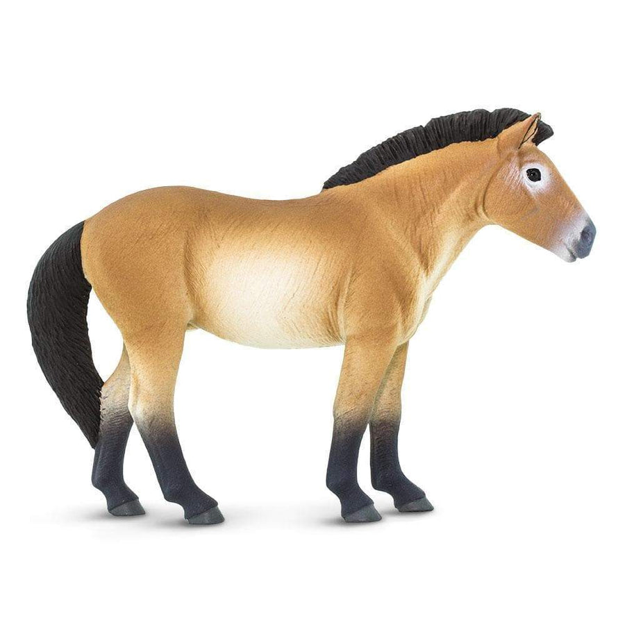 Przewalski's Horse - Safari Ltd®