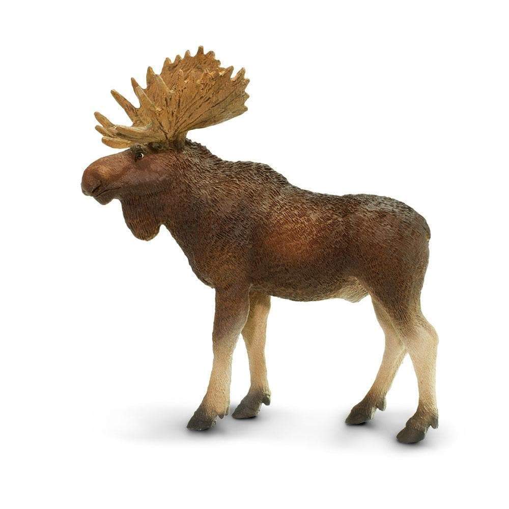 Bull Moose Toy | Wildlife Animal Toys | Safari Ltd.