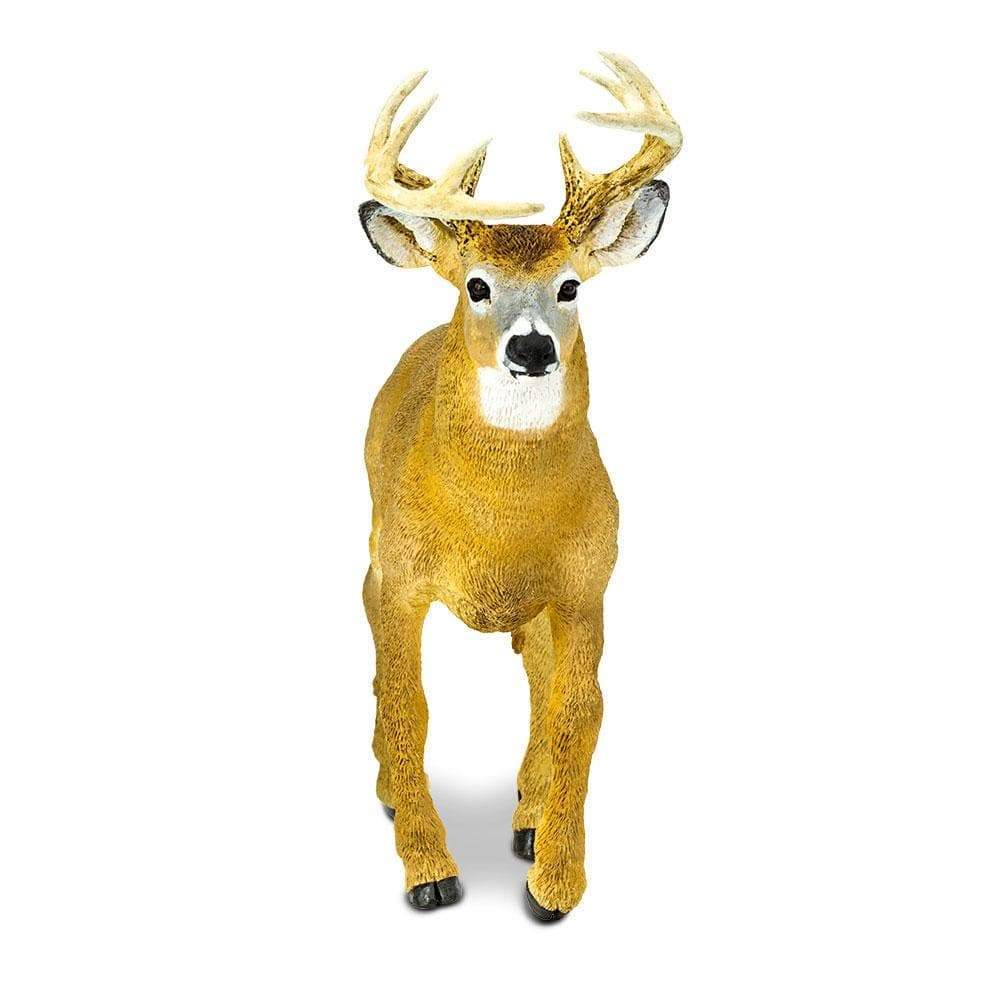 Whitetail Buck Toy