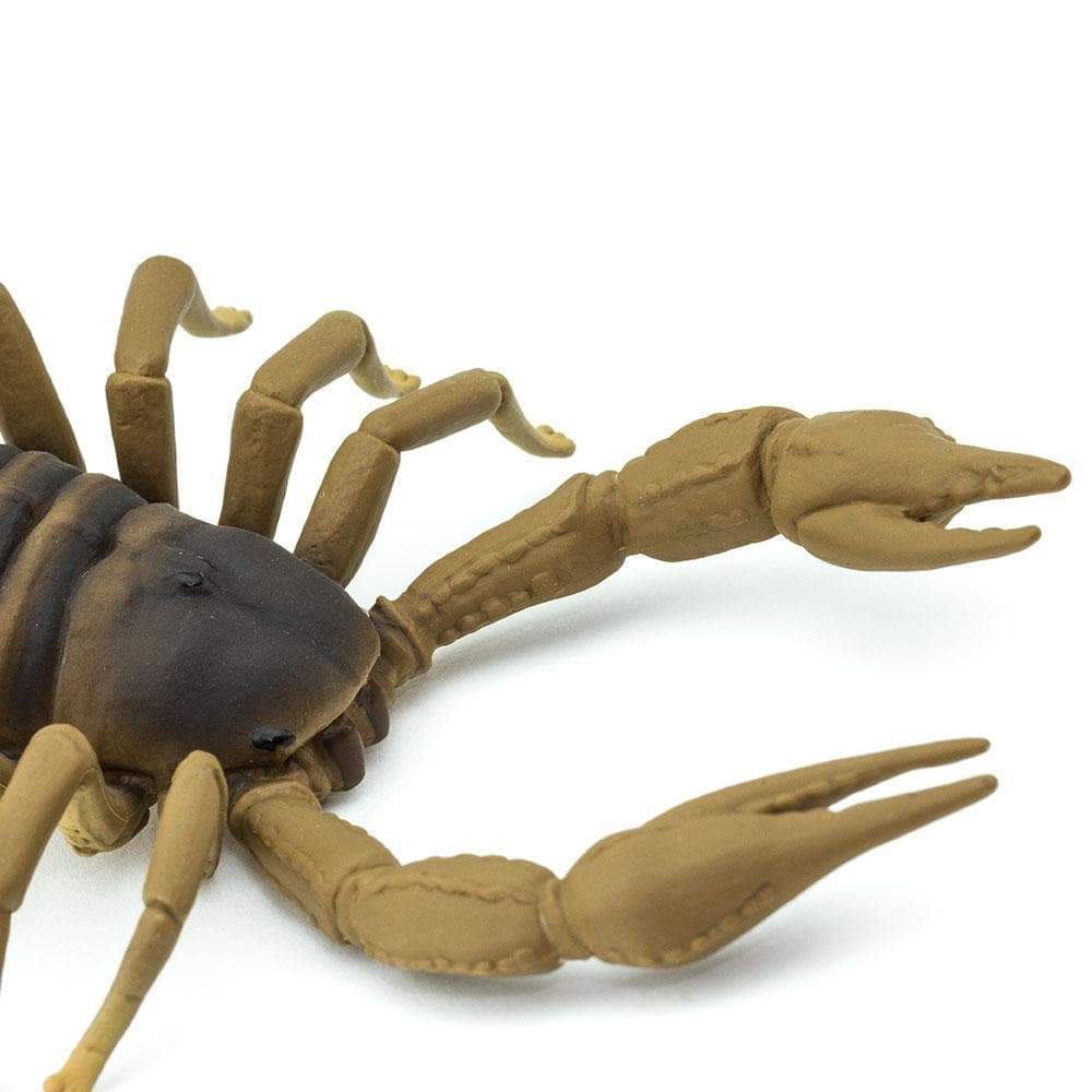 Scorpion Toy | Incredible Creatures | Safari Ltd®