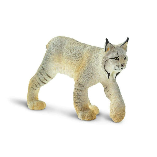 TOYMANY 12PCS Safari Animal Figurines, Realistic Animal Figures Set North  American Forest Animal Toys Raccoon,Lynx,Wolf,Bear,Eagle, Educational Toy