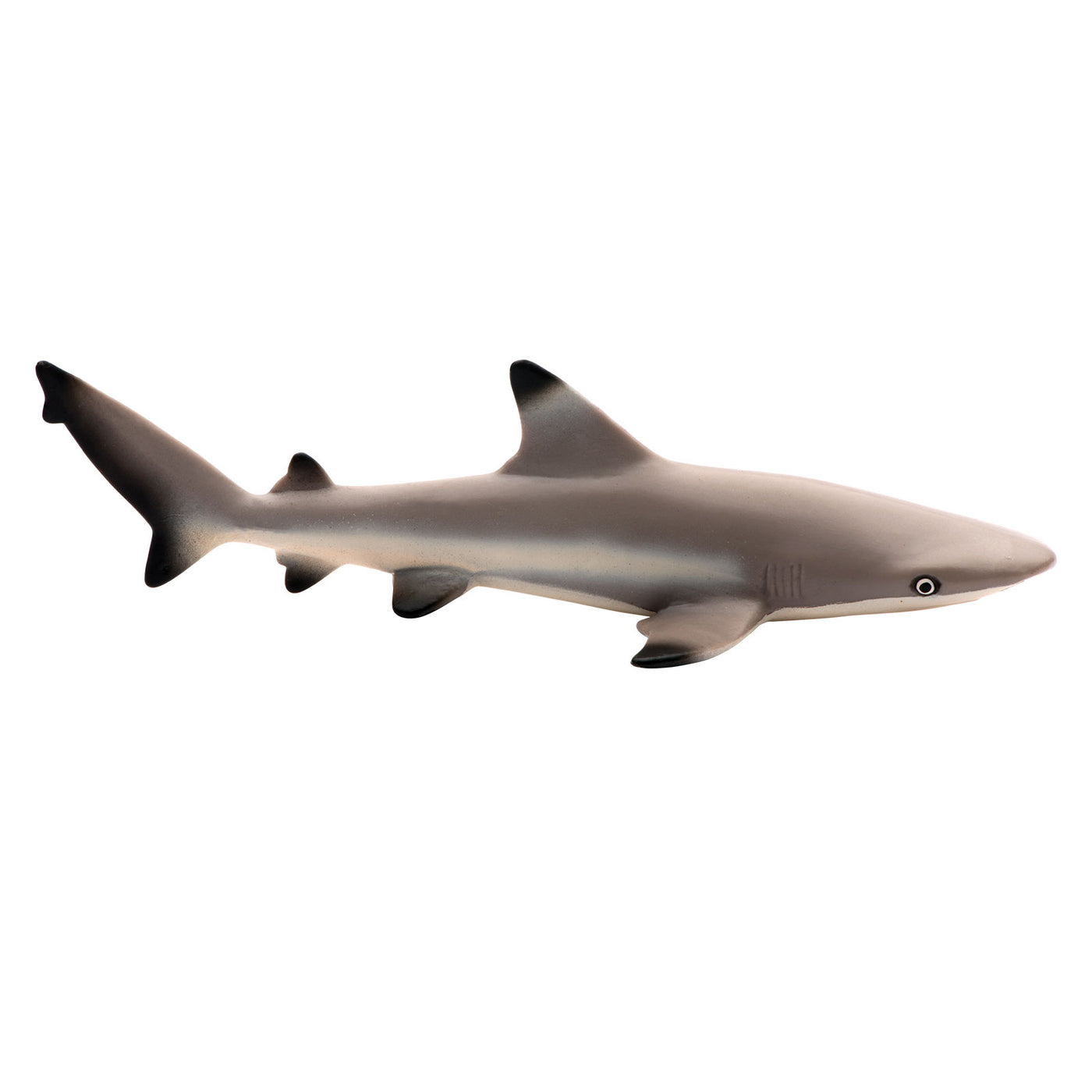 Blacktip Reef Shark Toy - Sea Life Toys by Safari Ltd.