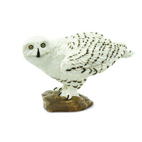 Snowy Owl - Safari Ltd®