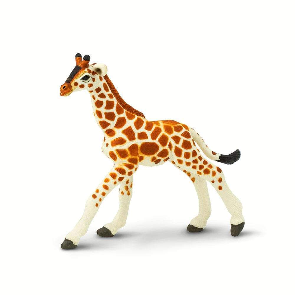 Reticulated Giraffe Baby Toy