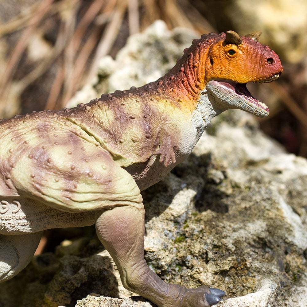 Carnotaurus Toy