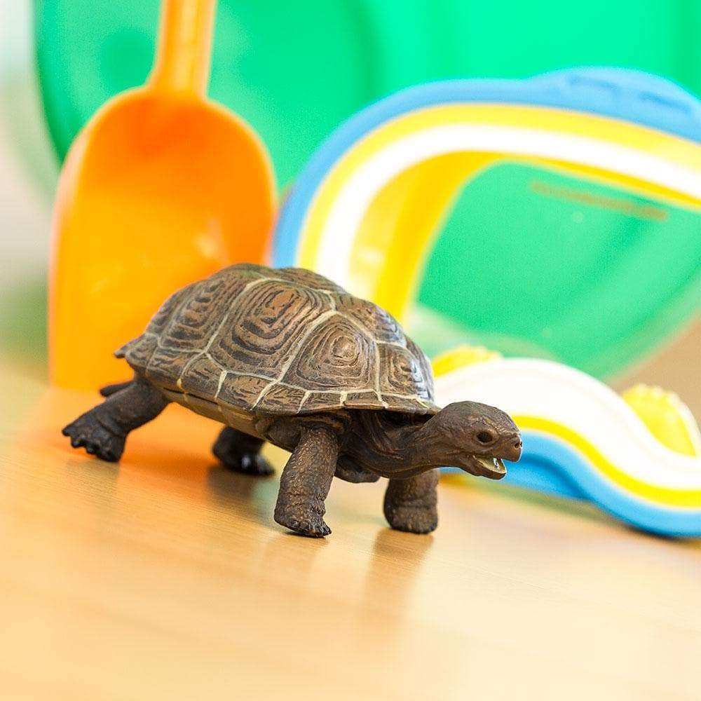 Tortoise Baby - Safari Ltd®