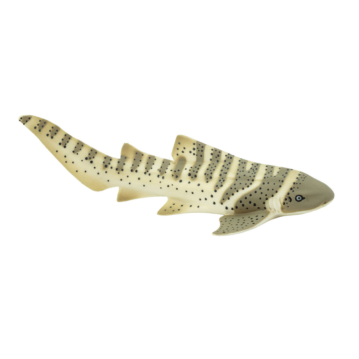 Zebra Shark - Safari Ltd®