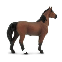 Morgan Stallion Toy