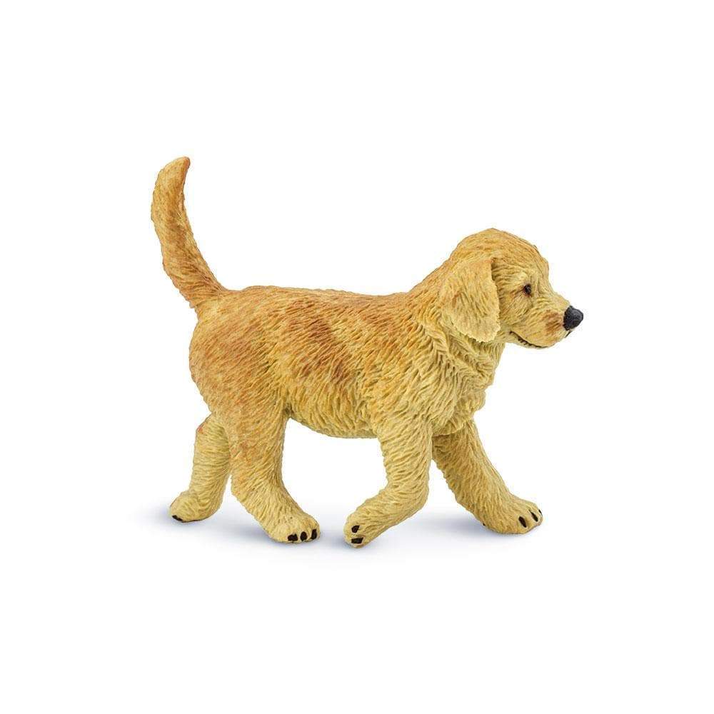 Best dog toys for golden retrievers best sale