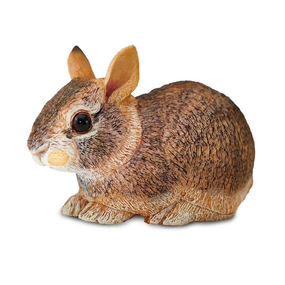 Cottontail soft toy best sale