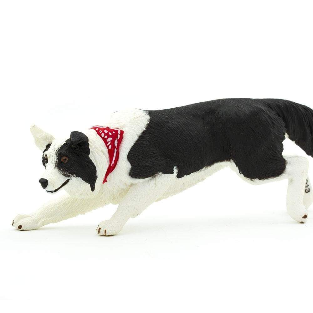 Border Collie Toy | Farm | Safari Ltd®