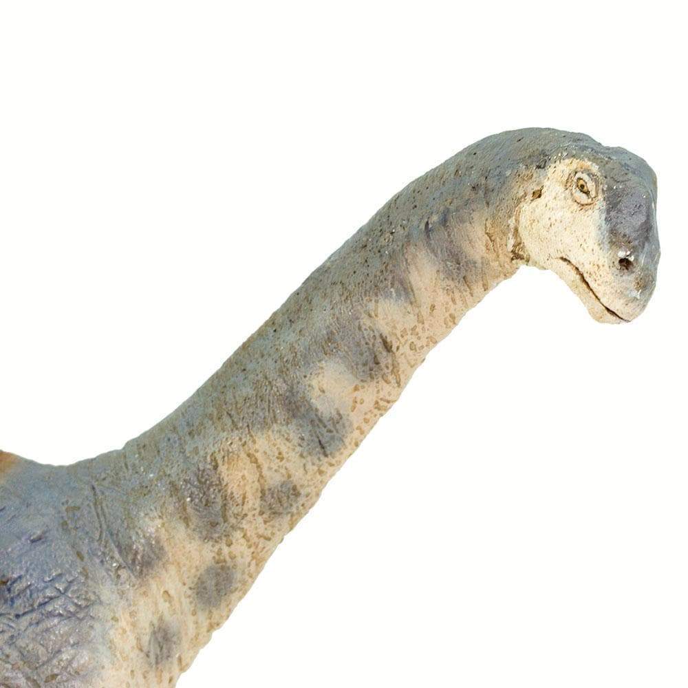 Camarasaurus Toy