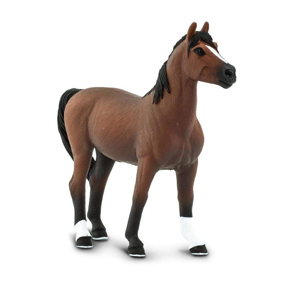 Morgan Stallion Toy