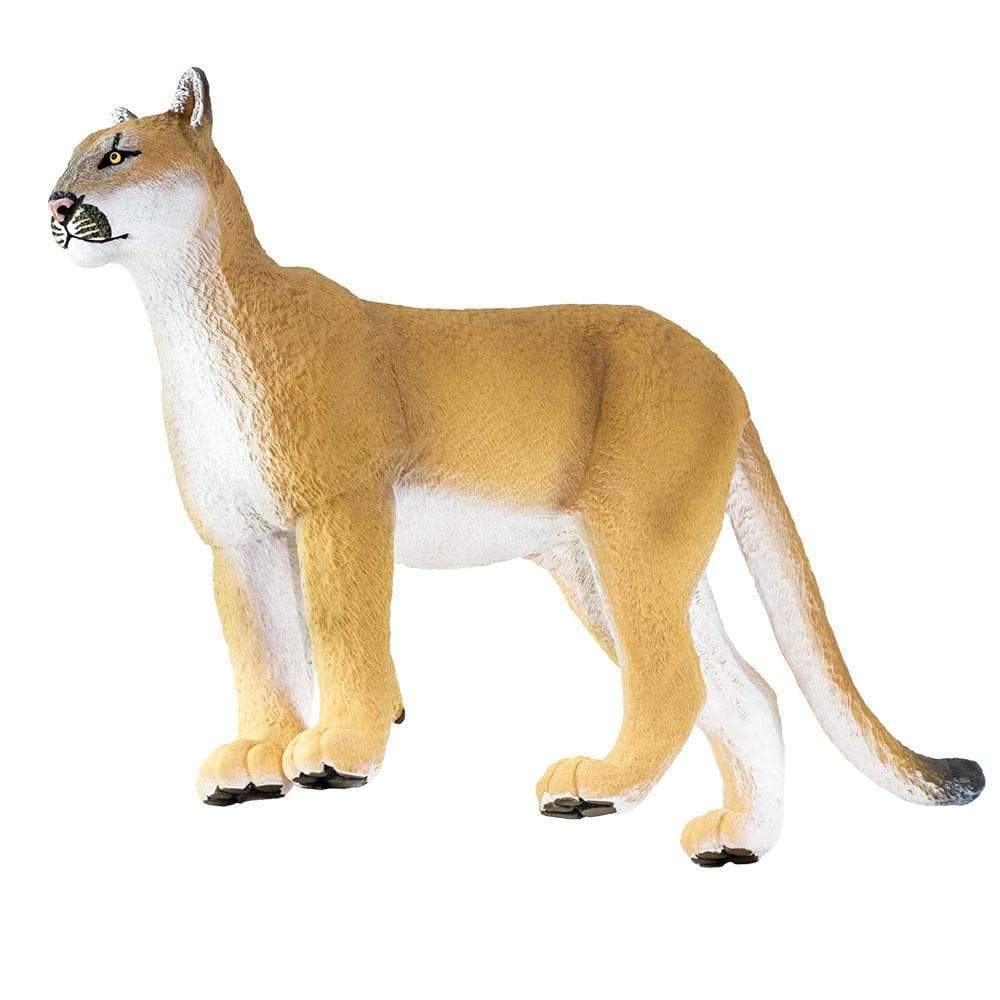 Florida Panther Toy | Wildlife Animal Toys | Safari Ltd®