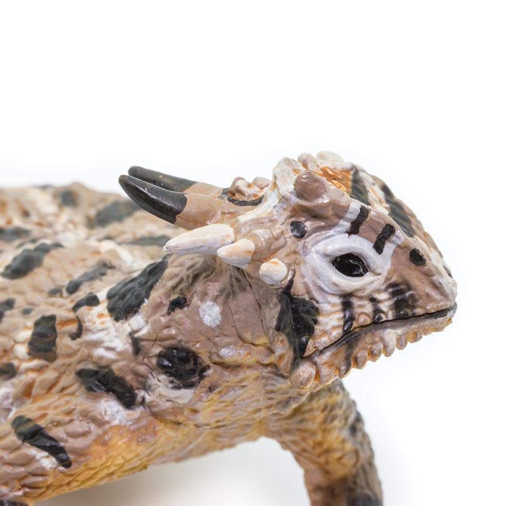 Horned Lizard Toy | Incredible Creatures | Safari Ltd®