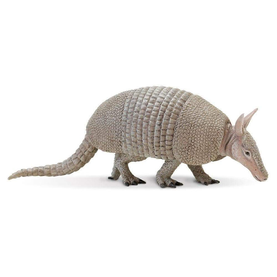 Armadillo - Safari Ltd®