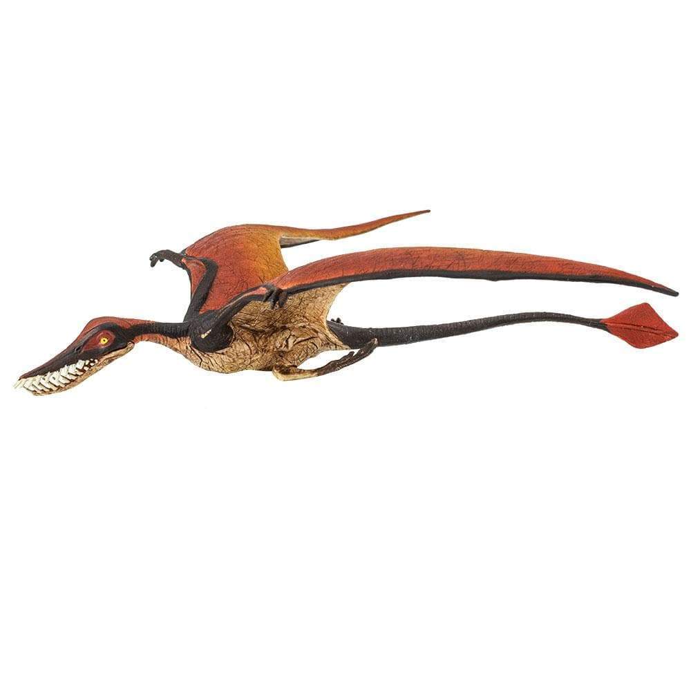 Rhamphorhynchus Toy