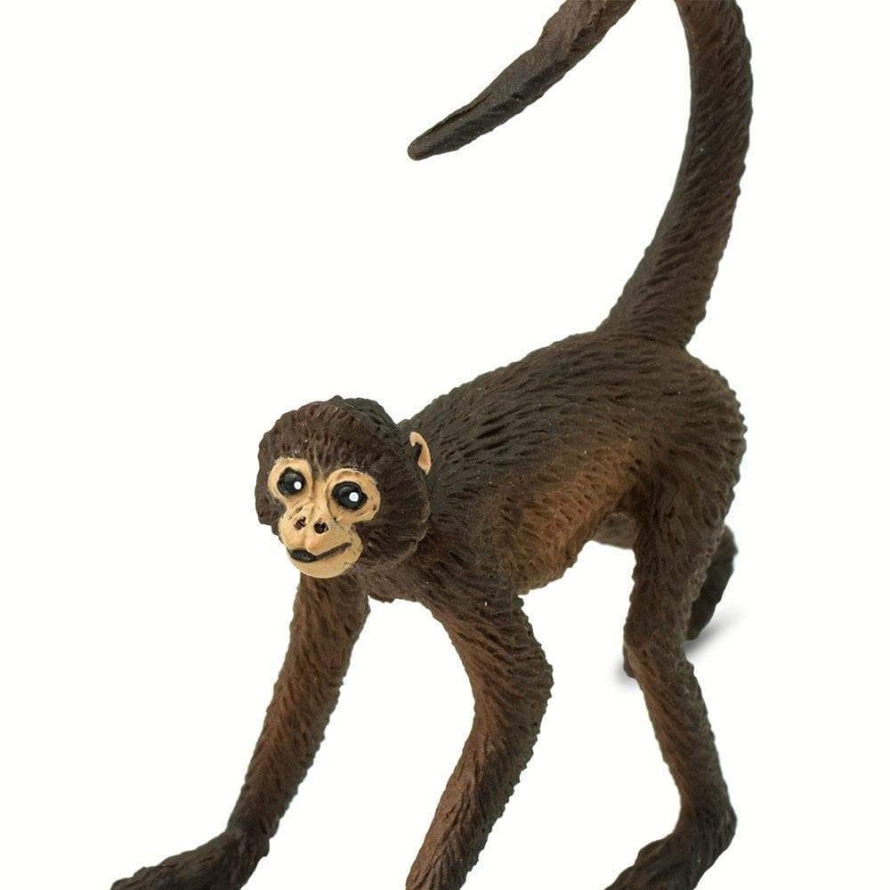 Spider Monkey Toy