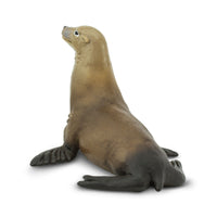 Sea Lion Toy