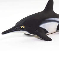 Ichthyosaurus Toy