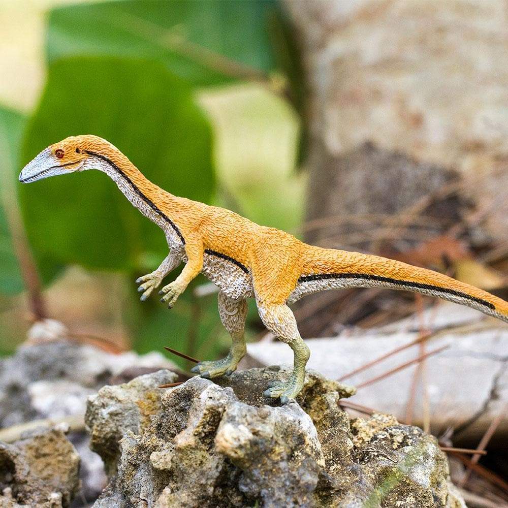 Coelophysis Toy