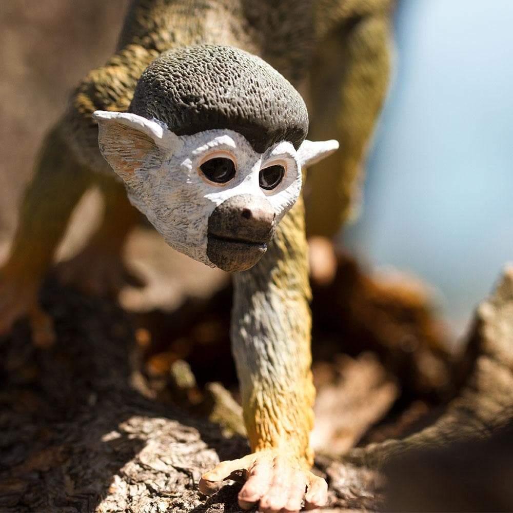 Squirrel Monkey Toy