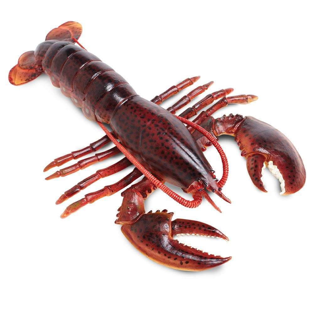 Maine Lobster - Safari Ltd®