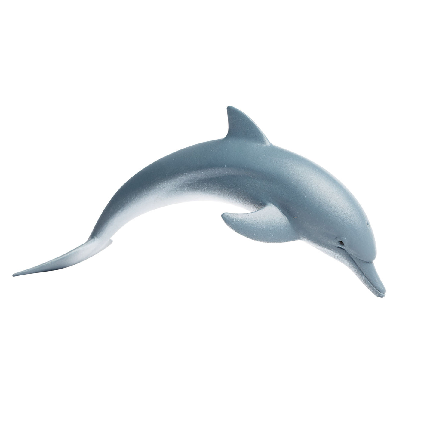 Dolphin Toy