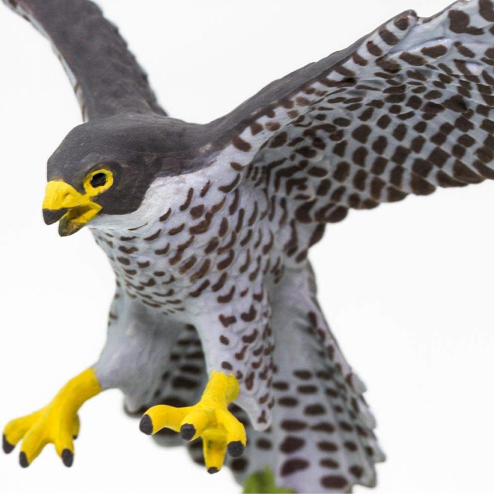 Peregrine Falcon Toy Wildlife Animal Toys Safari Ltd. Safari Ltd