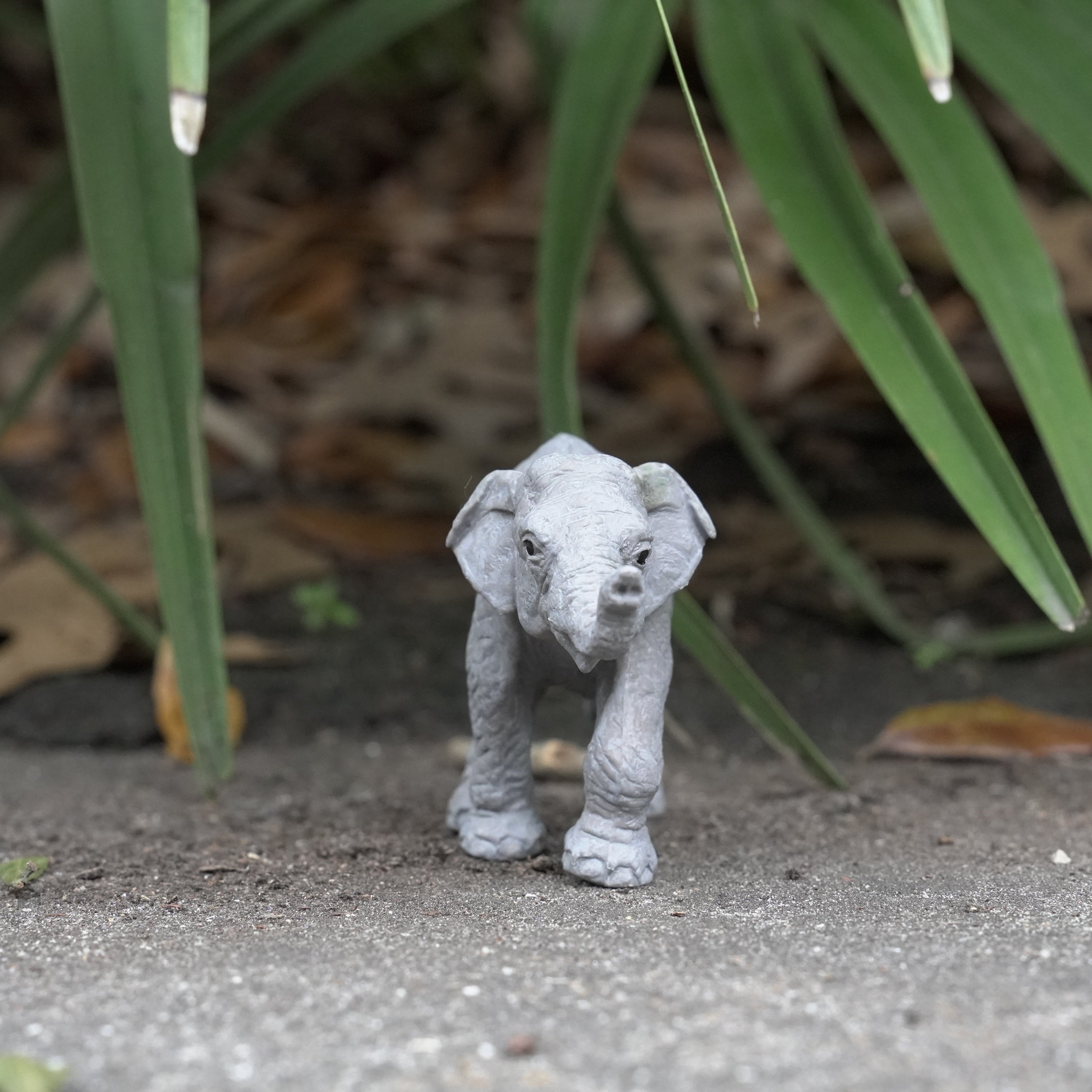 Asian Elephant Baby Toy | Wildlife Animal Toys | Safari Ltd®