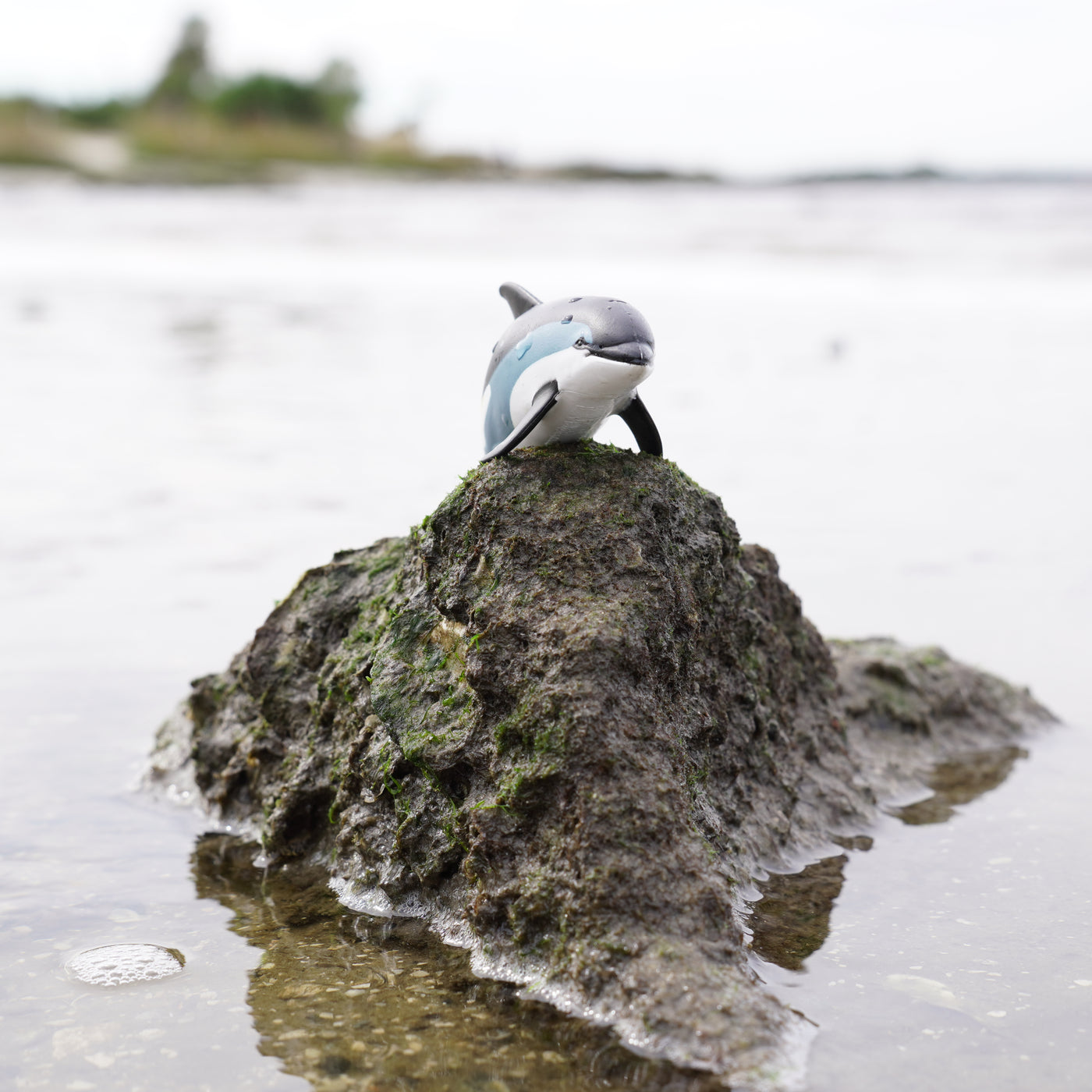 Atlantic White-Sided Dolphin Toy | Sea Life | Safari Ltd®