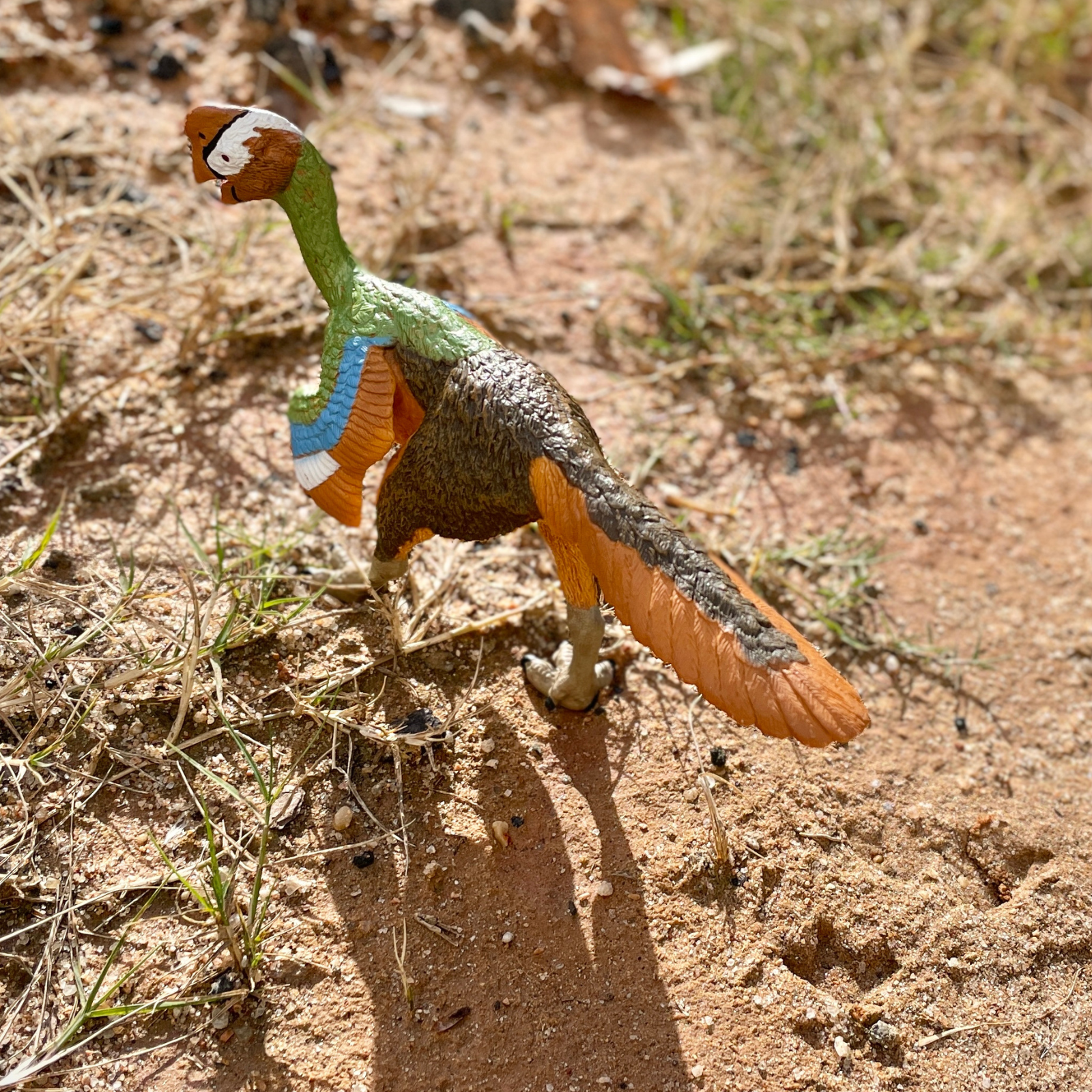 Citipati Toy | Dinosaur Toys | Safari Ltd®