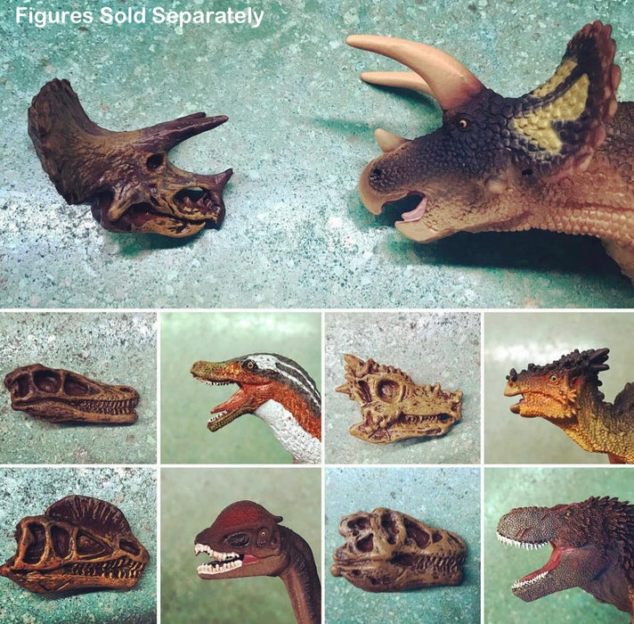Dinosaur Skulls TOOB® Toy