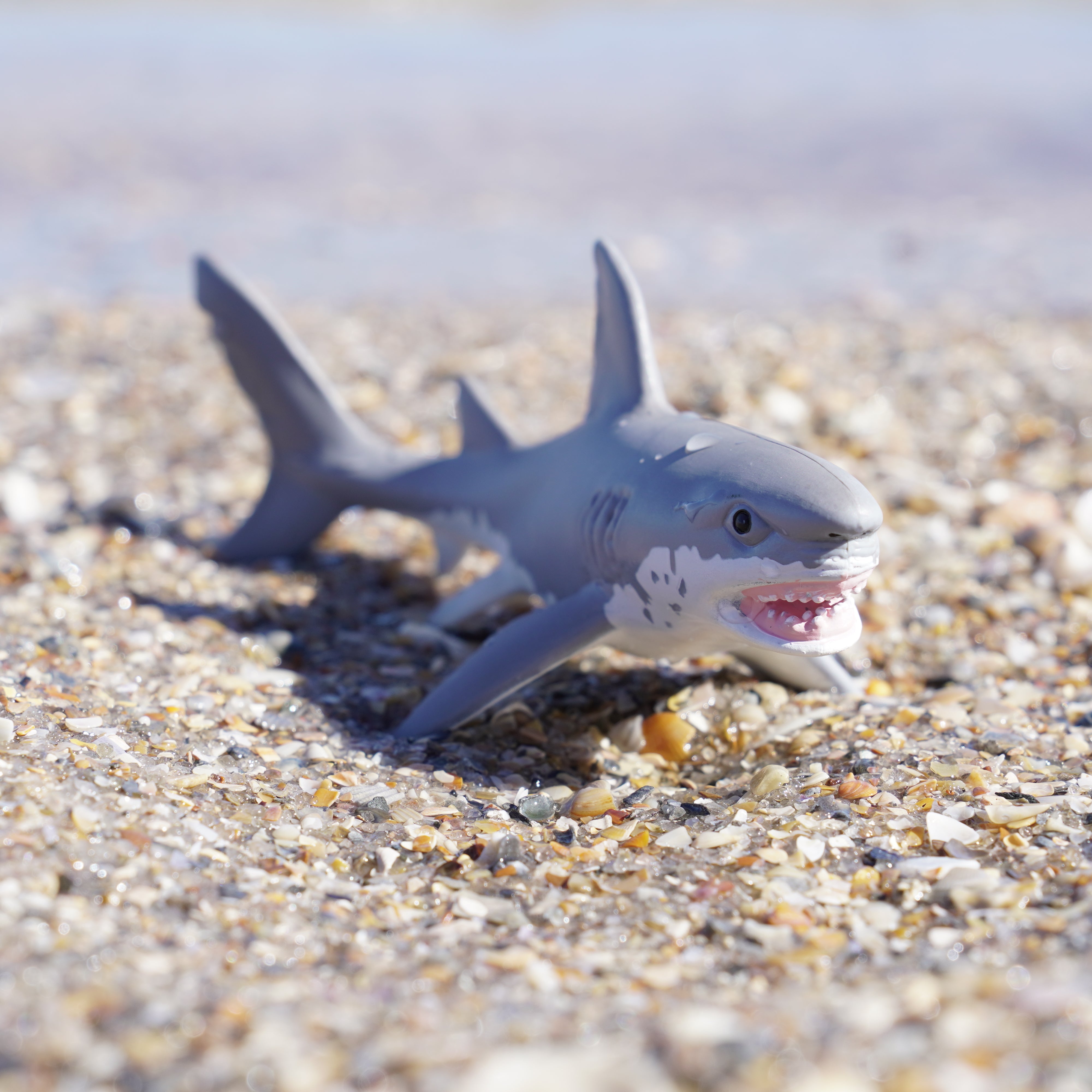 Great White Shark Toy | Sea Life | Safari Ltd®