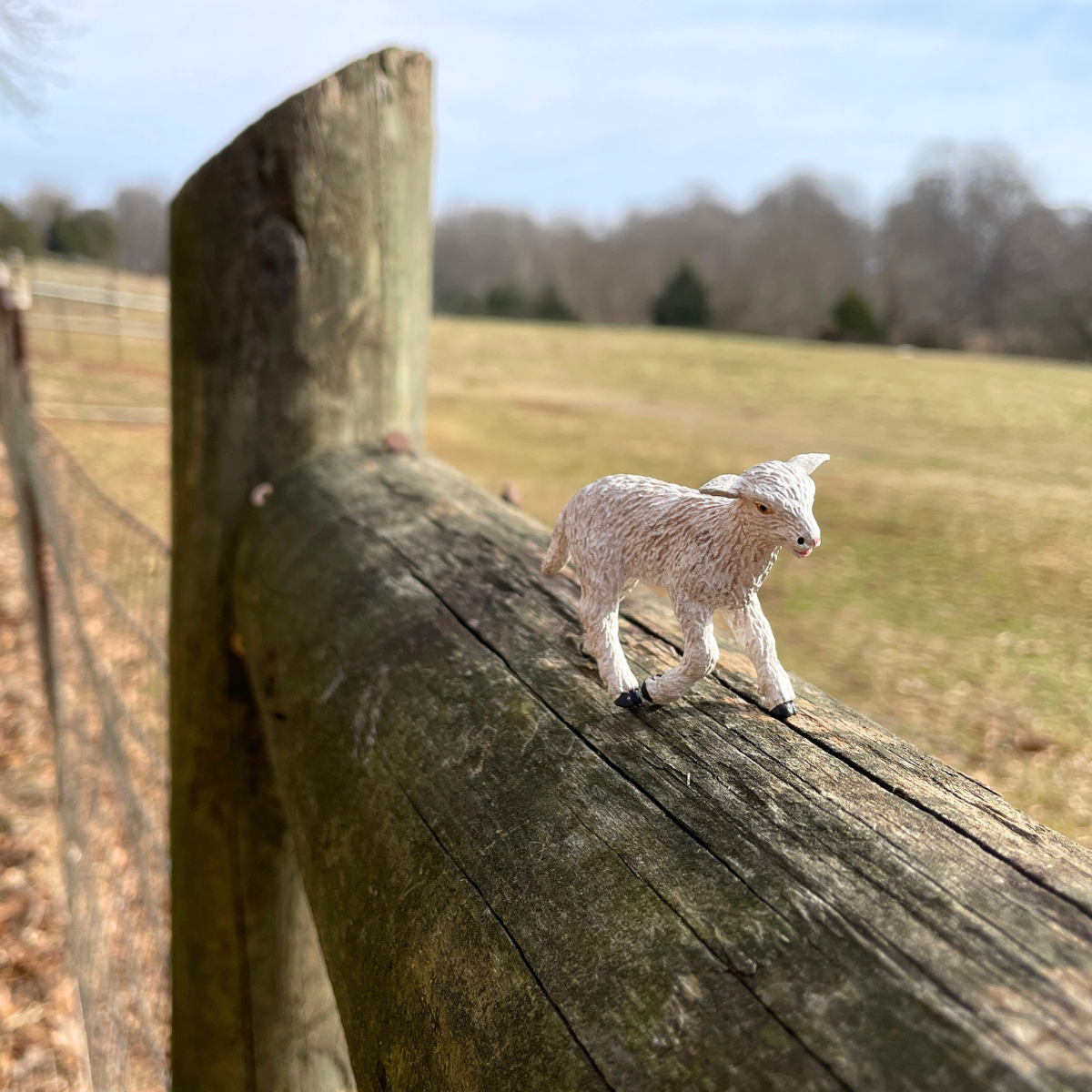 Lamb Toy | Farm | Safari Ltd®