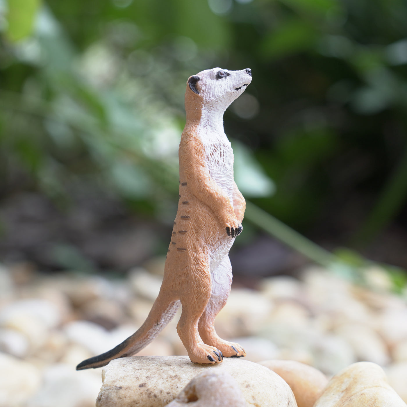 Meerkat Toy | Wildlife Animal Toys | Safari Ltd®