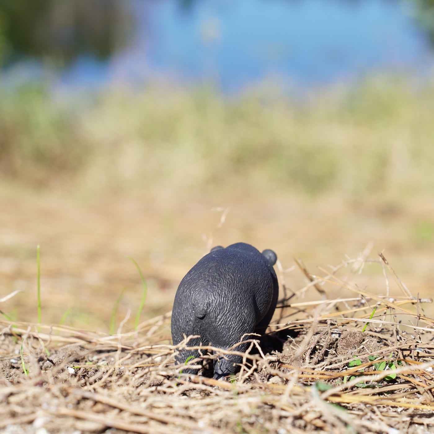 Moon Bear Toy | Wildlife Animal Toys | Safari Ltd®