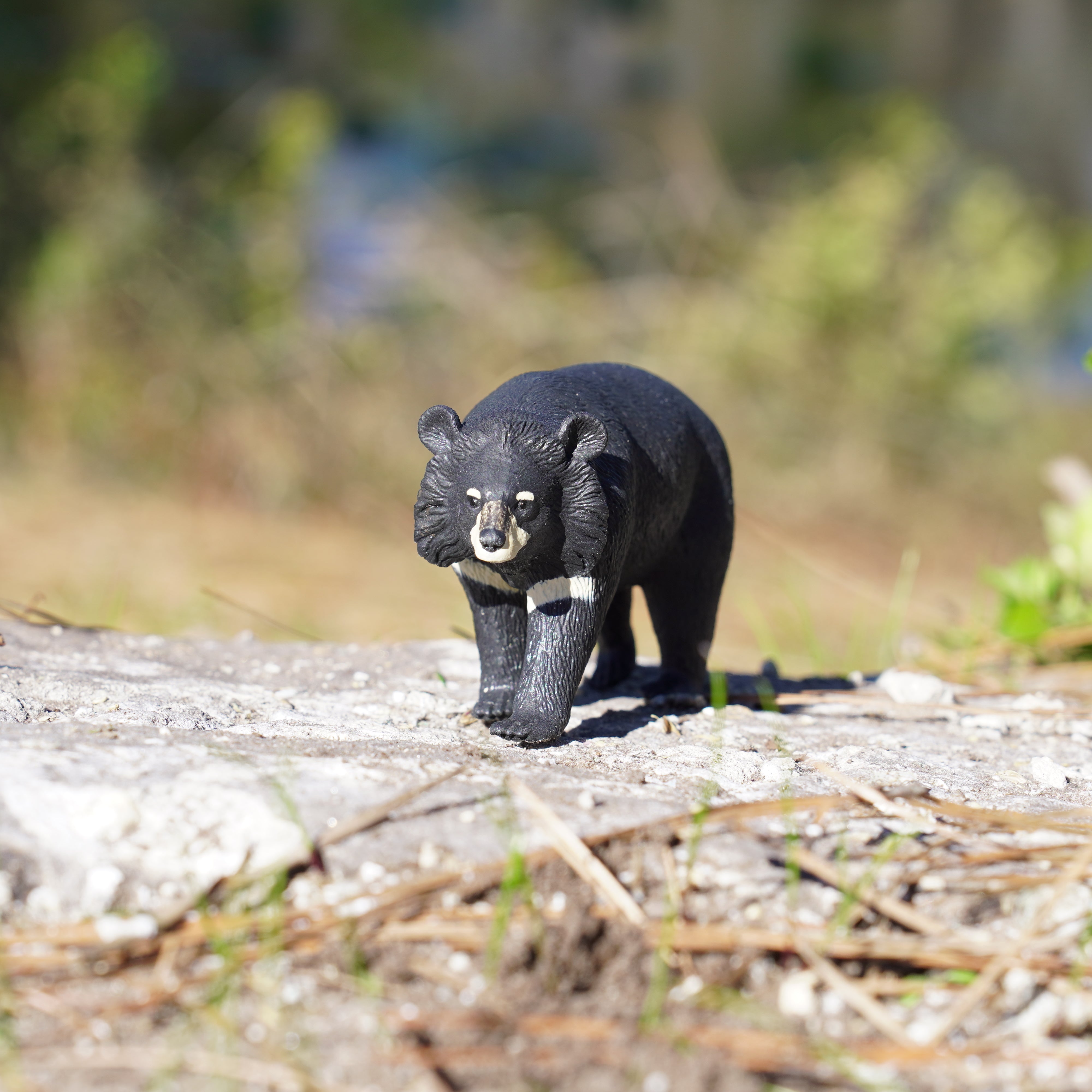 Moon Bear Toy | Wildlife Animal Toys | Safari Ltd®