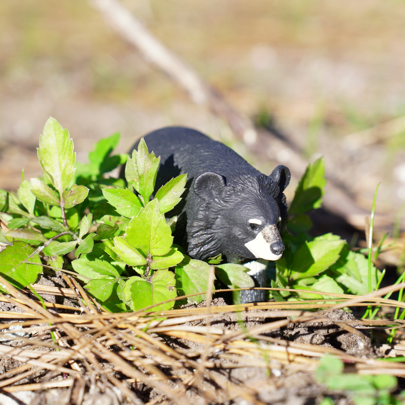 Moon Bear Toy | Wildlife Animal Toys | Safari Ltd®