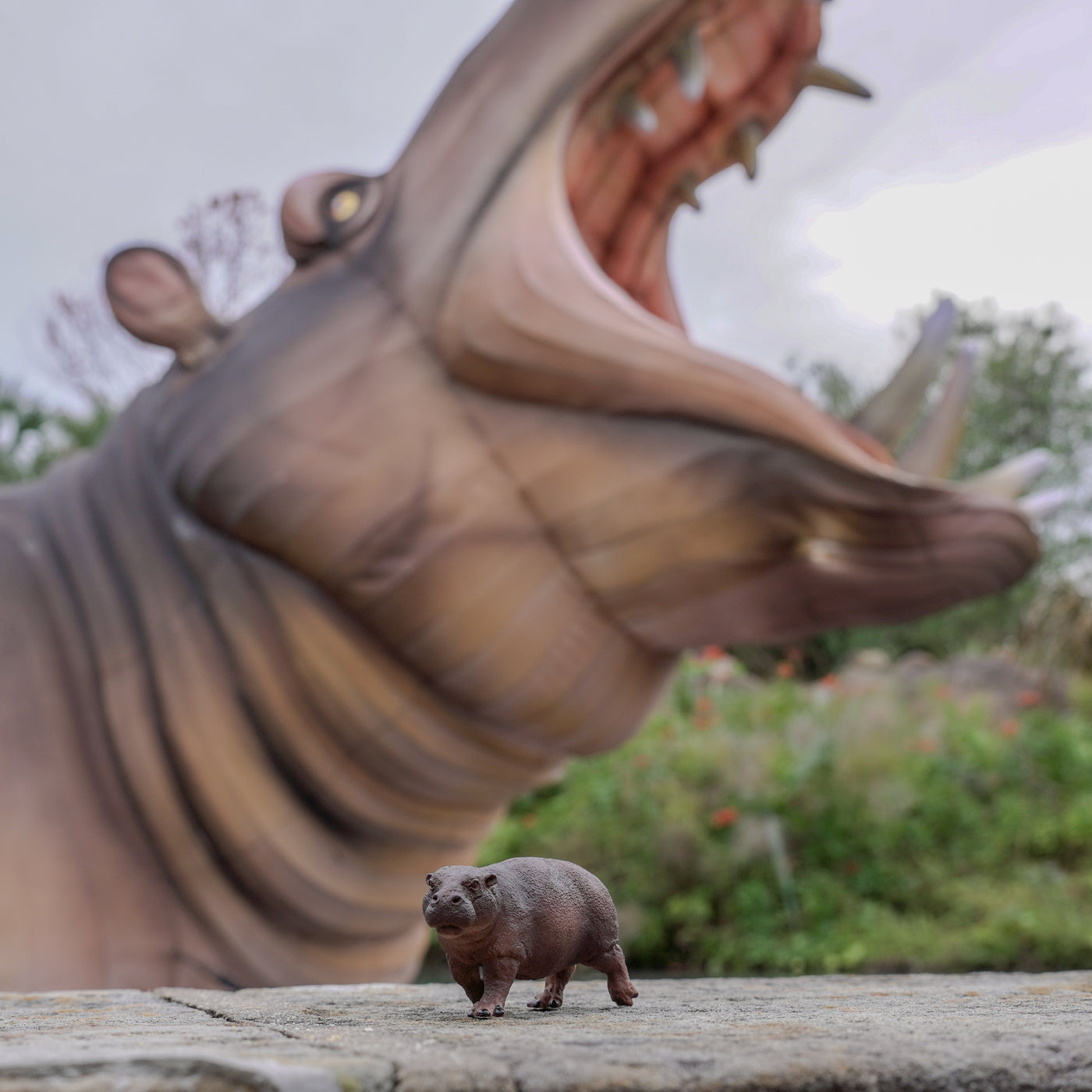 Pygmy Hippo Toy | Wildlife Animal Toys | Safari Ltd®