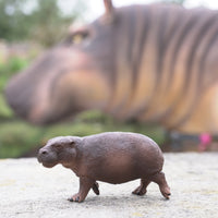 Pygmy Hippo Toy | Wildlife Animal Toys | Safari Ltd®