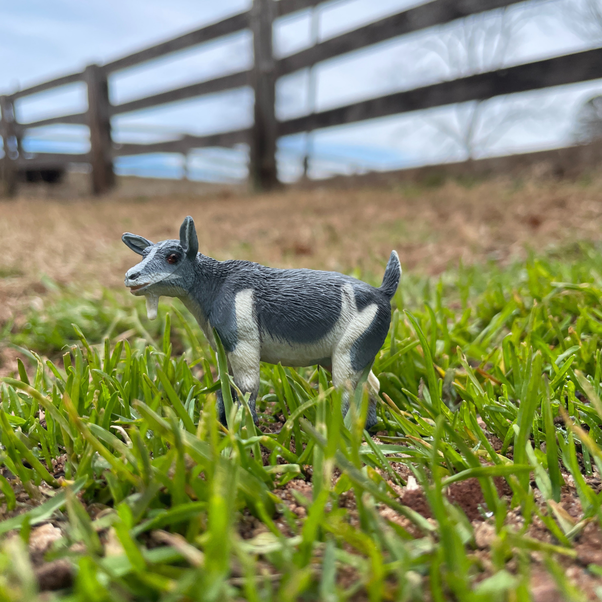 Pygmy Nanny Goat Toy | Farm | Safari Ltd®