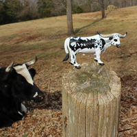 Texas Longhorn Bull | Farm | Safari Ltd®