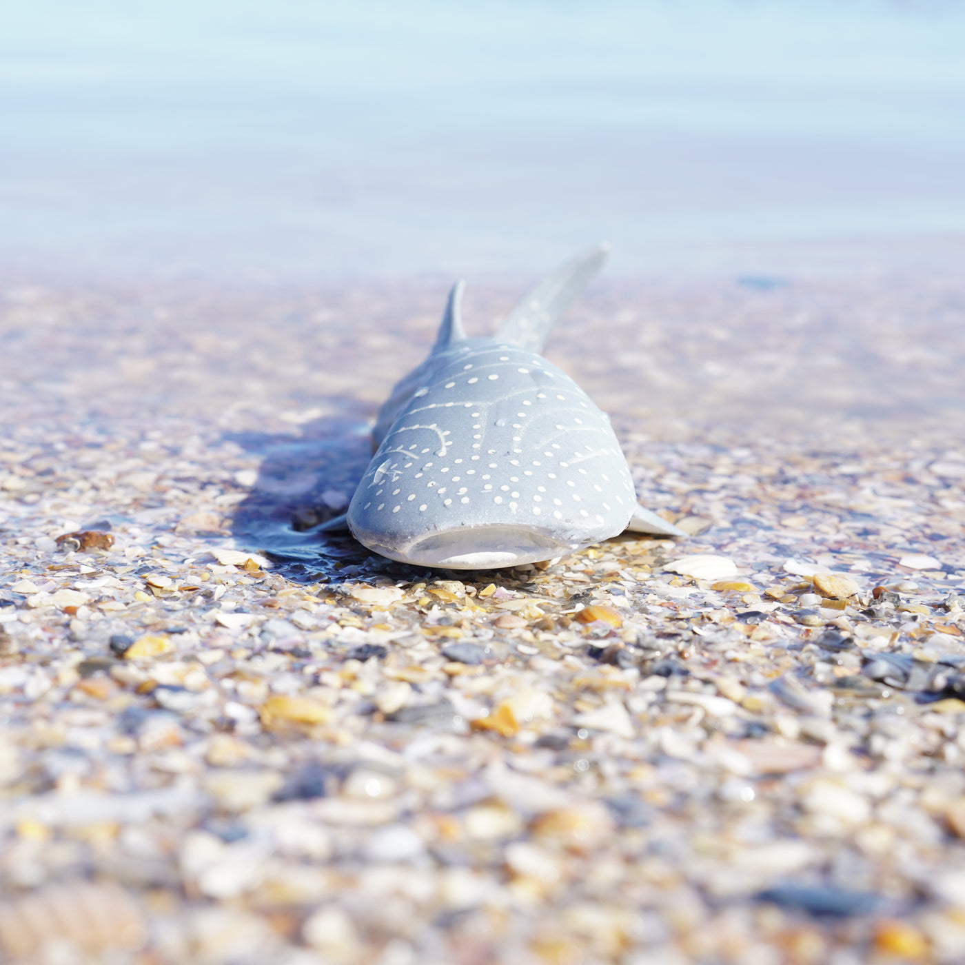 Whale Shark Toy | Sea Life | Safari Ltd®