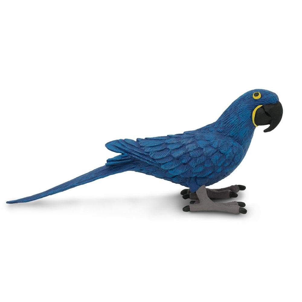 Macaw toys for sale best sale