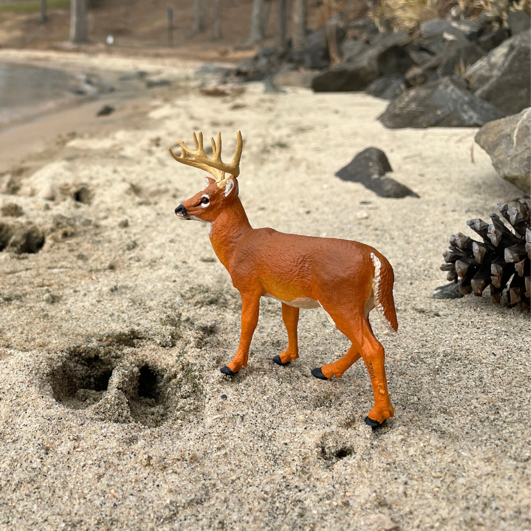 Whitetail Buck Toy