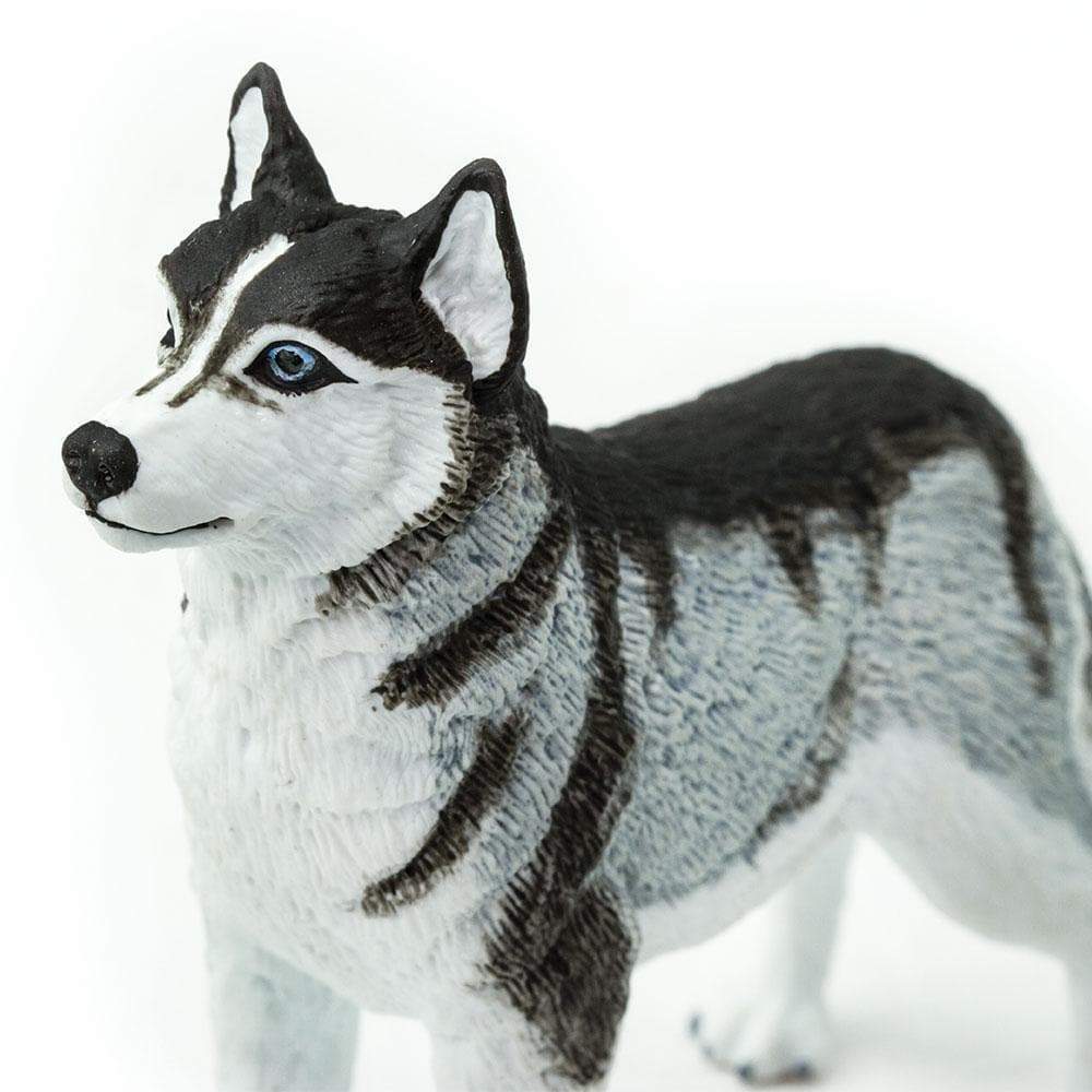 Siberian Husky Figurine Safari Ltd Safari Ltd