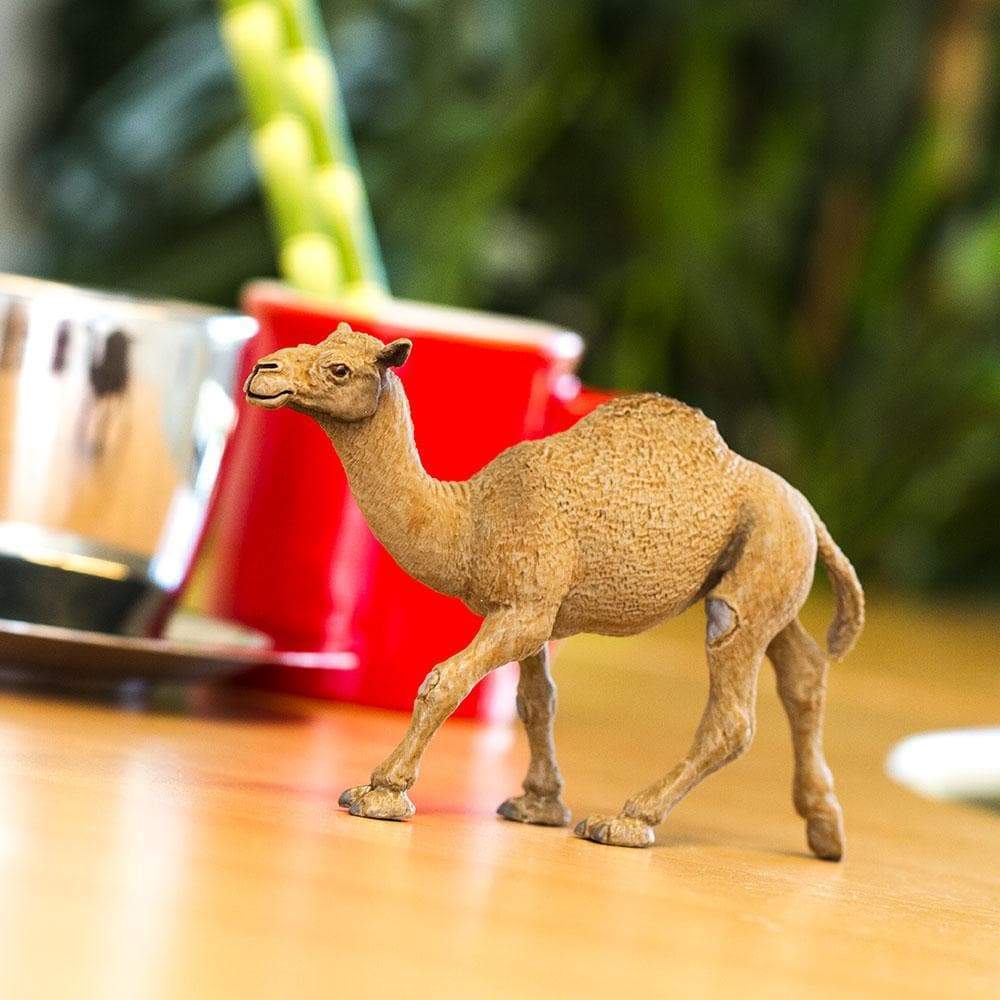 Dromedary Camel Toy | Wildlife Animal Toys | Safari Ltd.