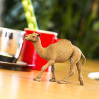 Dromedary Camel Toy | Wildlife Animal Toys | Safari Ltd.