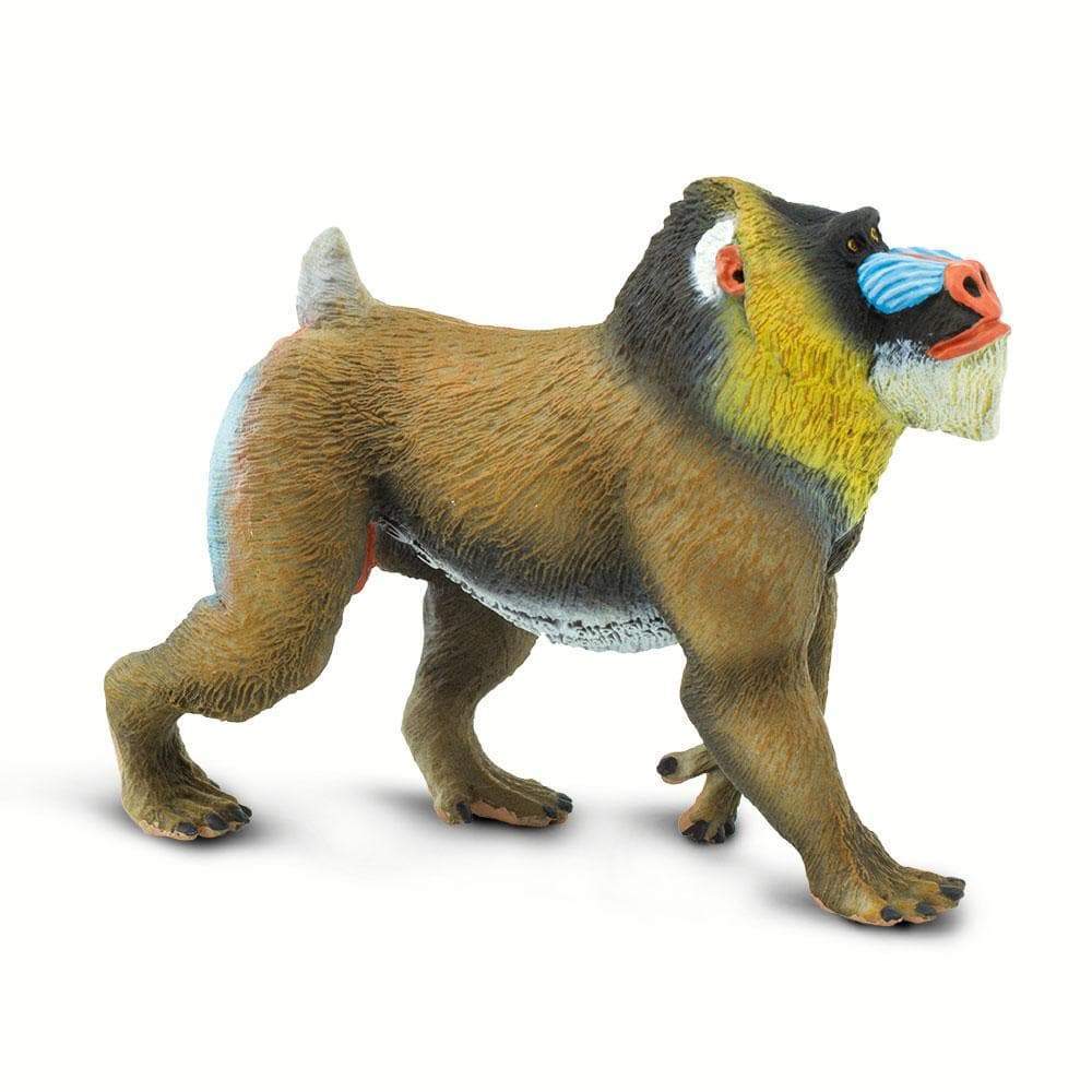 Mandrill Toy